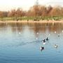 Serpentine, Hyde Park