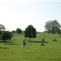 Primrose Hill