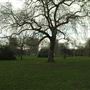 Lewisham Park