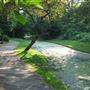 New River Path - Heritage Section