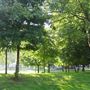 Westow Park