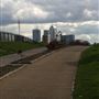 Views of Canary Wharf from Mile End Park