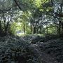 Barn Hill Open Space