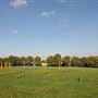 Hilly Fields