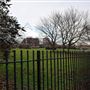 Friendly Gardens