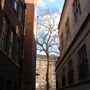 Milford Lane