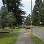 Canons Drive