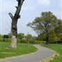 Roxeth Recreation Ground