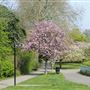 Harrow Recreation Ground