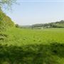 Blackbush & Twenty Acre Shaw Woods