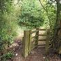 Whitings Wood