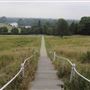 The Terrace Field