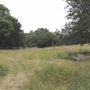 The Terrace Field