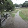 The Terrace Field