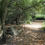 Barnes Old Cemetery