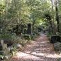 Barnes Old Cemetery