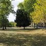 Barnes Green