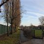 Allen Gardens