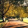 Ravenscourt Park