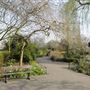 Bishop's Park