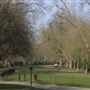 Bishop's Park