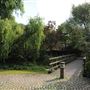 Russia Dock Woodland