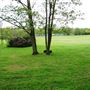 South Norwood Lake