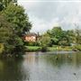 Waddon Ponds
