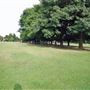 Acton Park