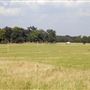 Richmond Park