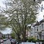 St Mary's Grove