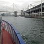 London's Royal Docks