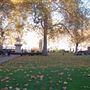 Cavendish Square