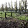 College Farm