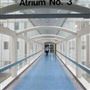 Guy's and St Thomas' Hospitals
