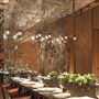 Rosewood London