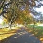 Sutcliffe Park