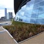 London Aquatics Centre (QEOP)