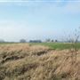 Fairlop Waters