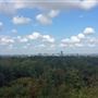 Addington Hills Viewing Platform