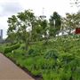 Queen Elizabeth Olympic Park - South Park General Areas (QEOP)