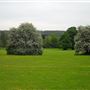 Foots Cray Meadows