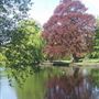 Beddington Park & The Grange