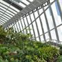 Sky Garden - 20 Fenchurch Street