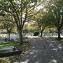 Chiswick Old Cemetery