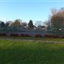 Harold Wood Park