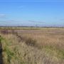 Rainham Marshes - Thames Side