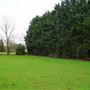 Sunny Hill Park