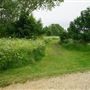 Walthamstow Marshes