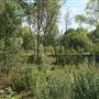 Middlesex Filter Beds Nature Reserve